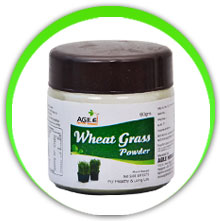 Agile Wheat Grass Powder