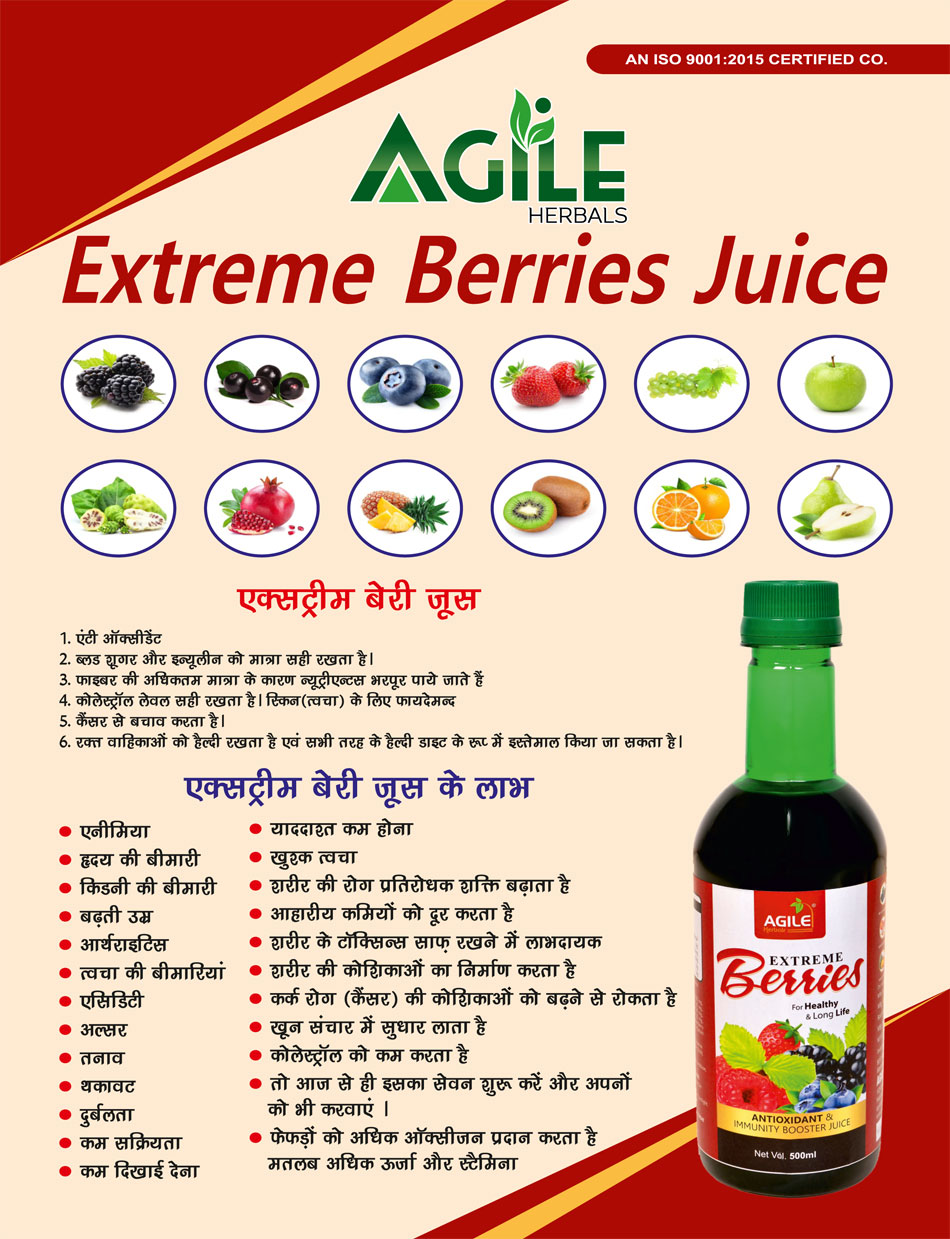 Agile Extreme Berries Juice manufacturers suppliers in amritsar punjab india