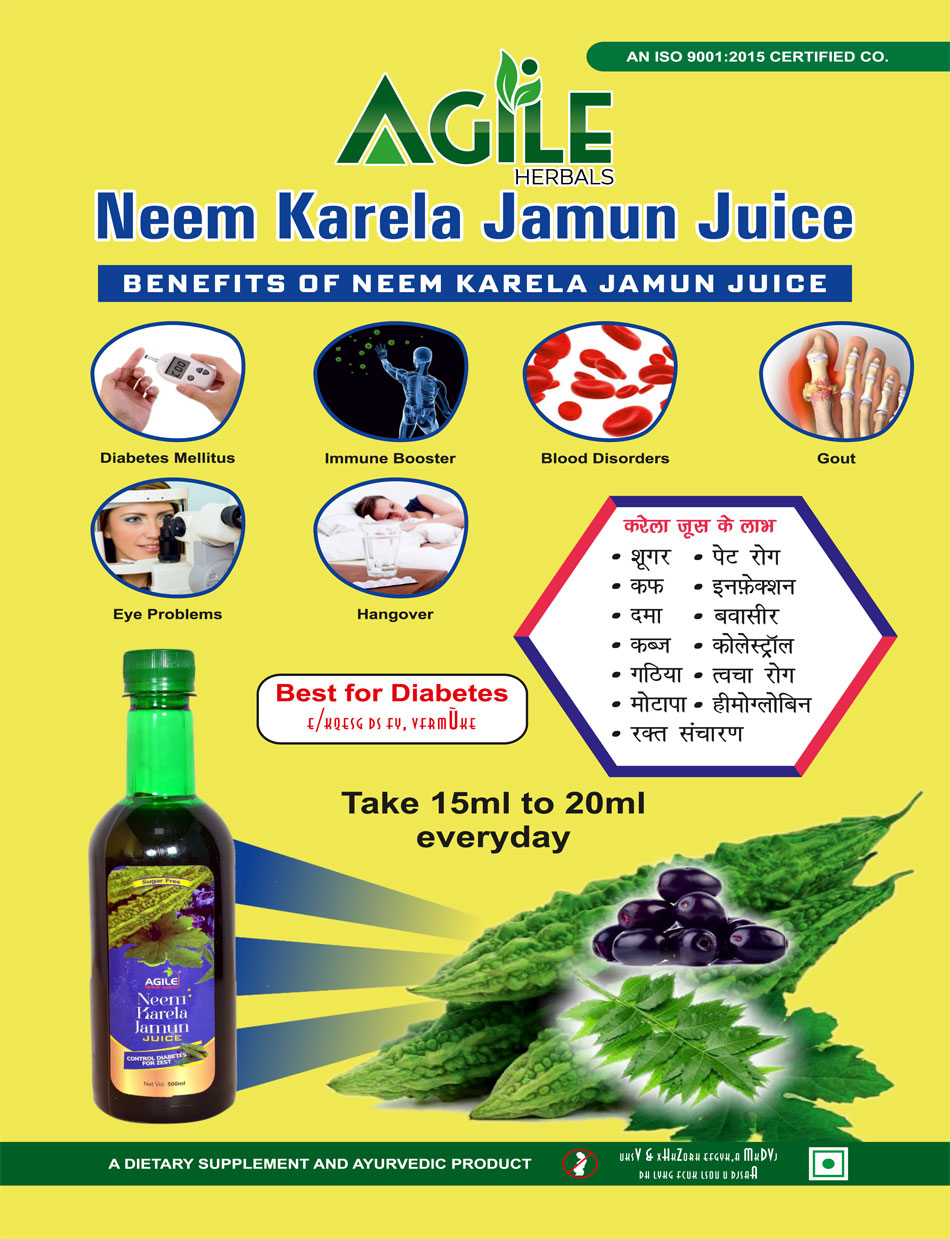 Agile Neem Karela Jamun Juice manufacturers suppliers in amritsar punjab india