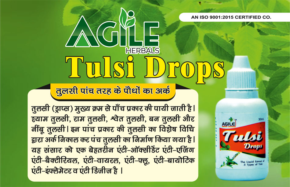 ayurvedic tulsi herbal tulsi manufacturers suppliers in amritsar punjab india